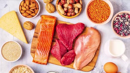 Quels sont les aliments les plus riches en protéines ?
