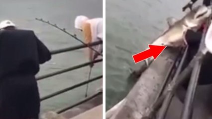 Californie : un homme pêche un requin blanc, partage la vidéo sur Internet et déclenche une enquête...