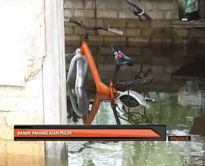 Banjir Pahang kian pulih