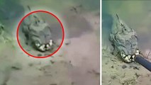 Une créature très étrange a été filmée au bord d'une rivière (VIDÉO)