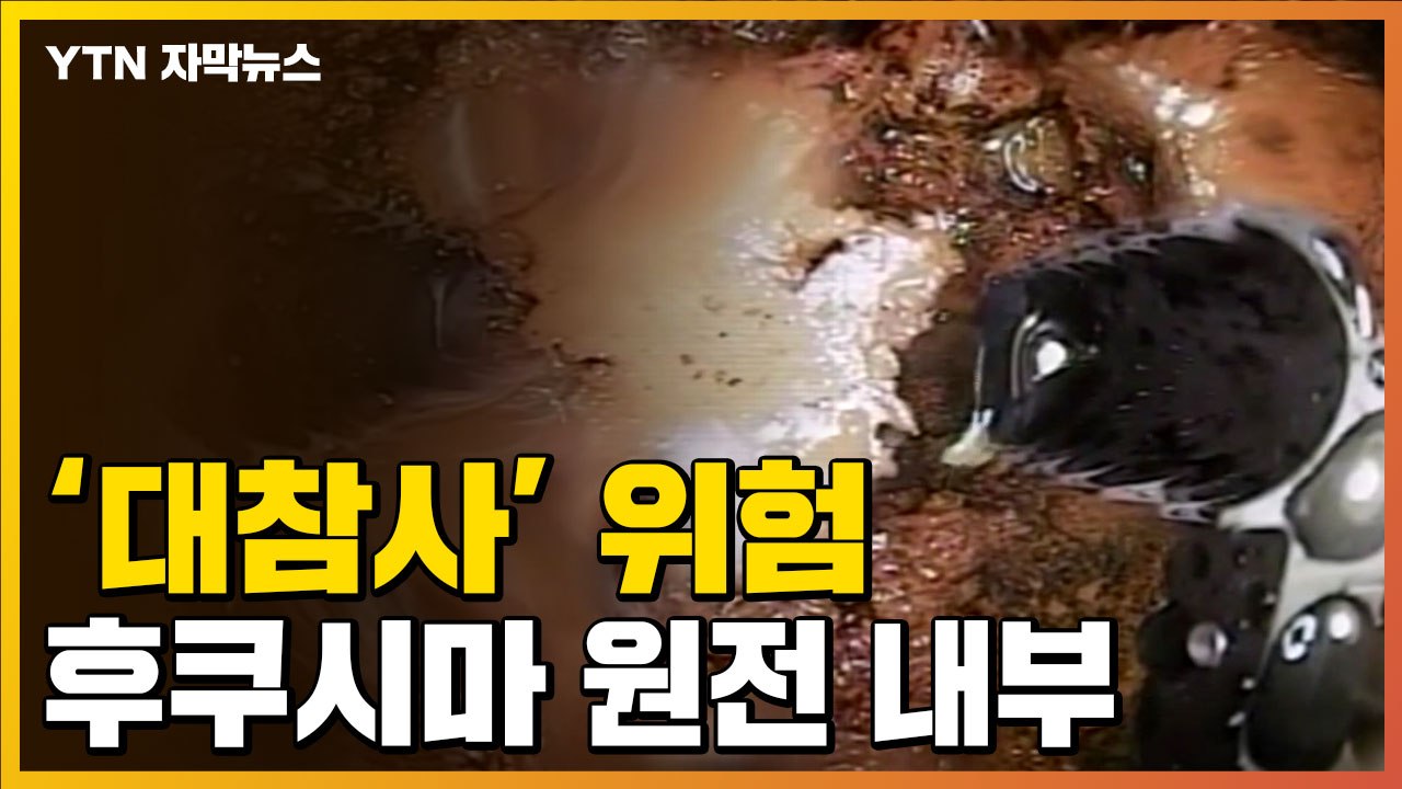 [자막뉴스] 대참사 발생할 수도...日 후쿠시마 원전 내부 심각한 상황 / YTN