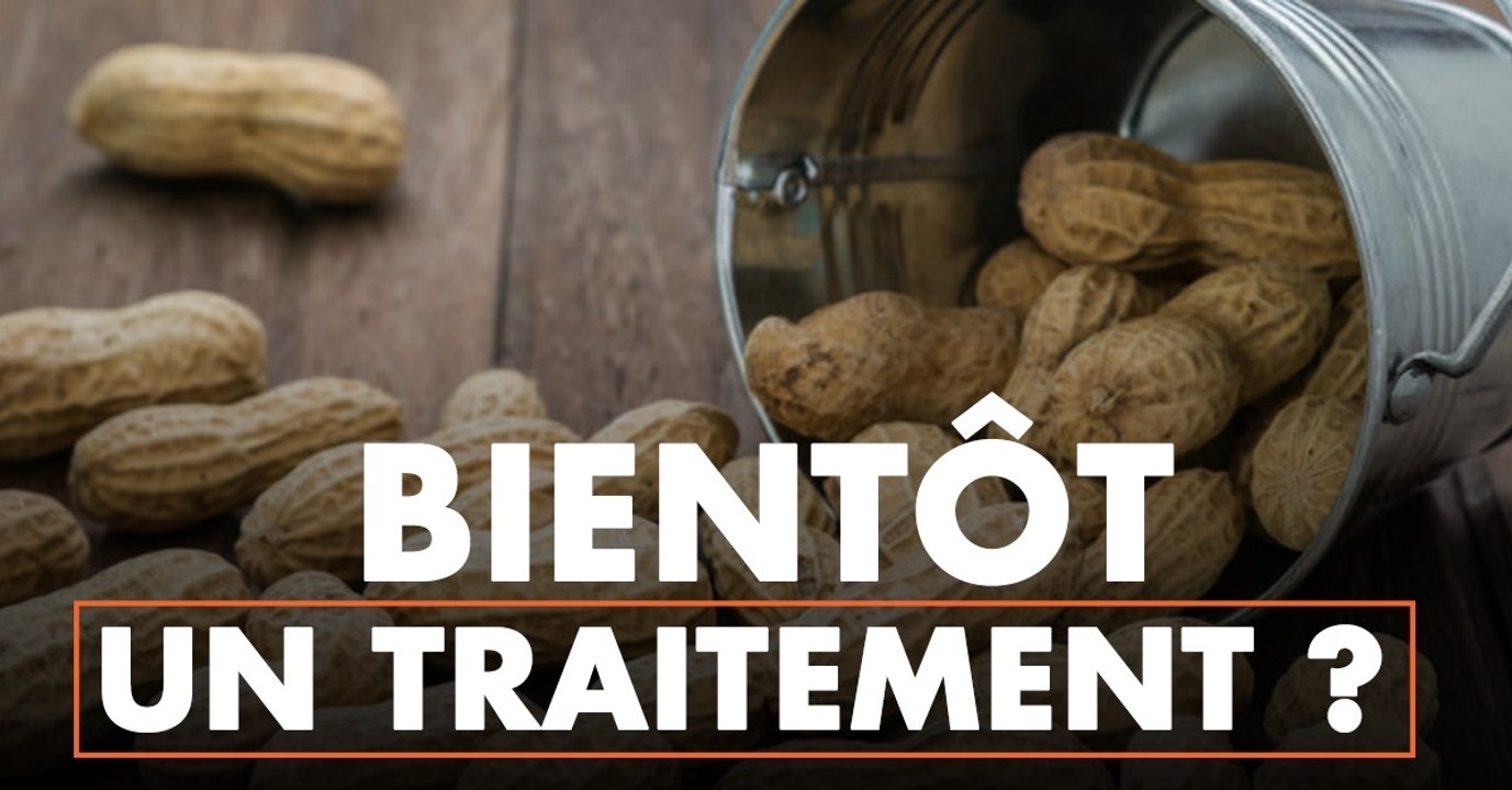 Un remède contre l'allergie à l'arachide pourrait être bientôt commercialisé