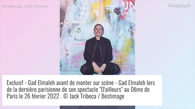 Gad Elmaleh acclamé par Dany Boon, sa compagne Laurence Arné et les VIP à Paris