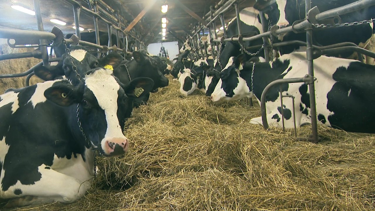 CH 03 Mars TOPO Cout producteurs agricoles WEB