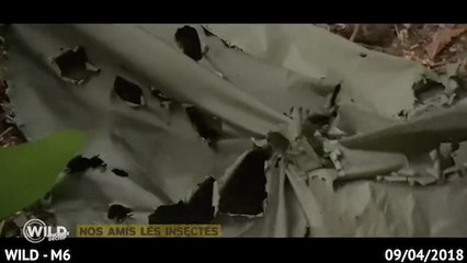 Wild : pendant la nuit, les candidats ont eu une très mauvaise surprise