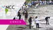 Centenares de voluntarios panameños limpian las playas