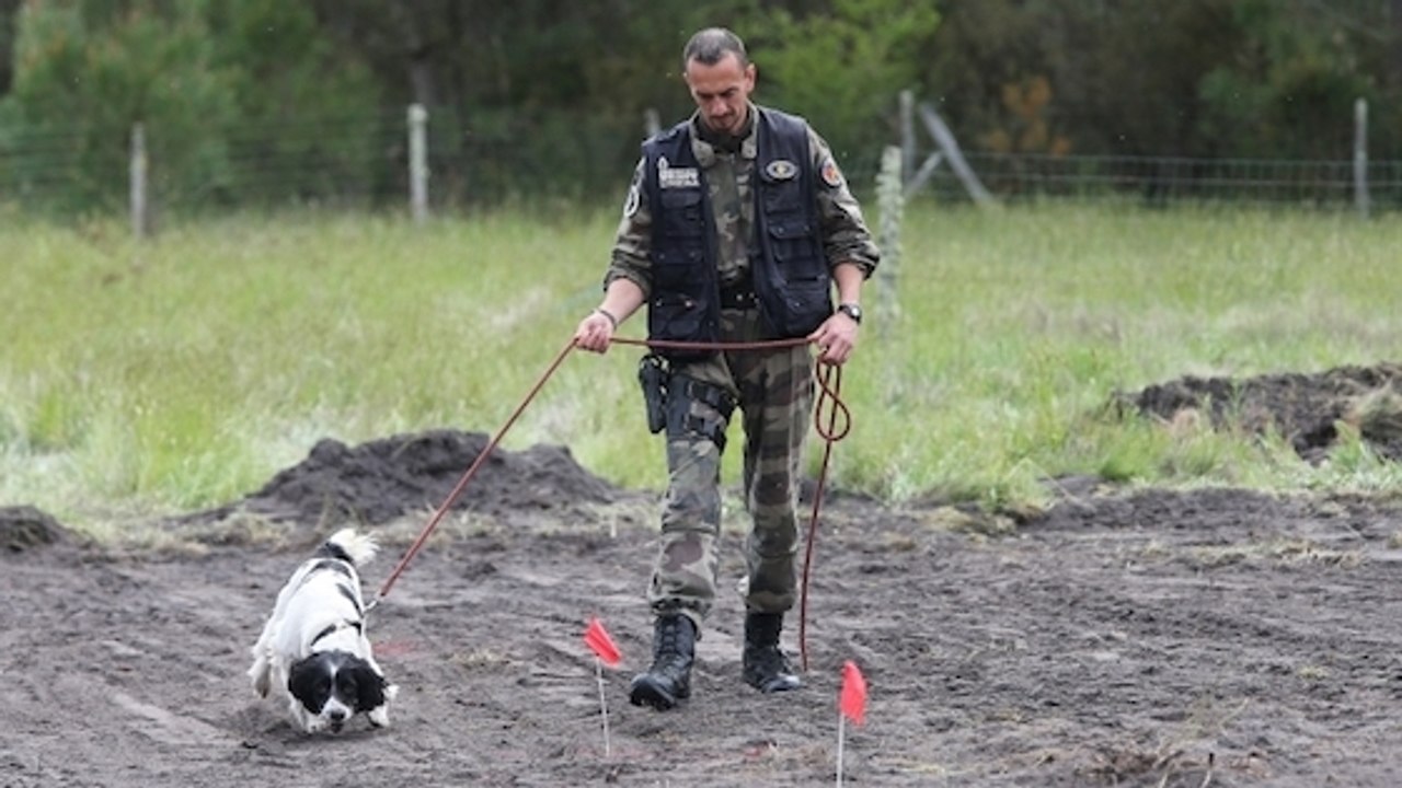 Cette unité de chiens d'élite a permis de retrouver le corps de Maëlys