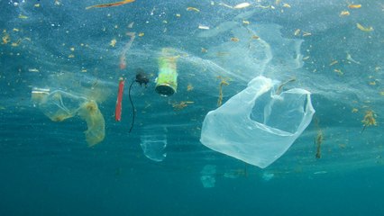 Dans le Pacifique, la "mer de plastique" fait trois fois la taille de la France
