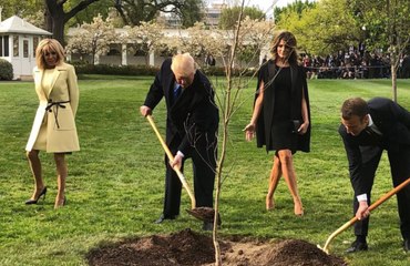 Pourquoi cette photo des couples Macron et Trump est en passe de devenir iconique