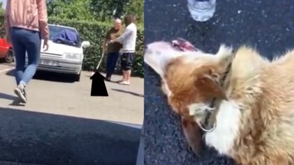 Il enferme son chien dans sa voiture en plein soleil, puis menace un couple qui veut le secourir