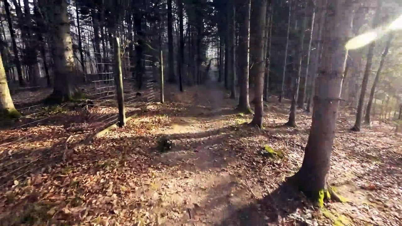 MTB Morgentrail 16 km EBE Forst 02 März 22 Draft