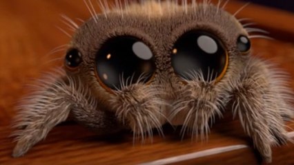 Arachnophobie : évitez cette couleur qui attire les araignées !