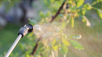 Astuce : comment prendre soin de son jardin en hiver ?
