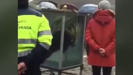 Ligoté dans un aquarium, un magicien se noie en plein spectacle