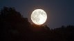 Astrologie : quels sont les effets de la pleine lune sur votre signe