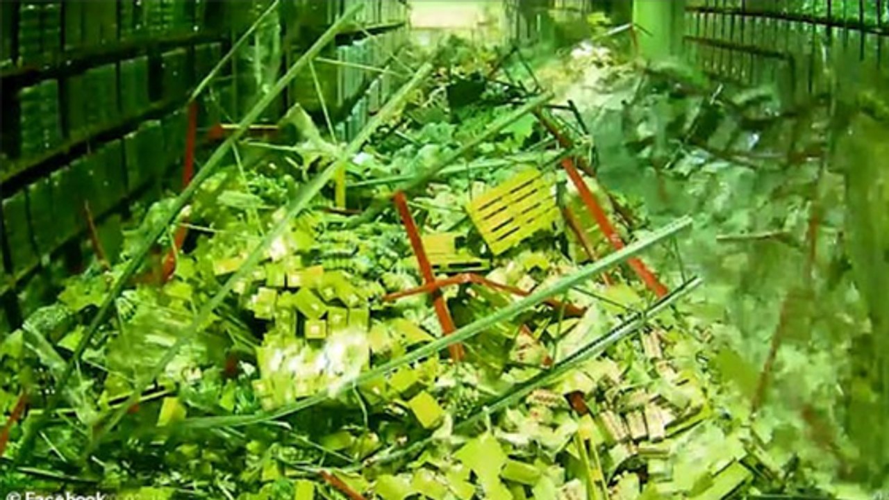 Tout un entrepôt s'écroule à cause d'un chariot élévateur