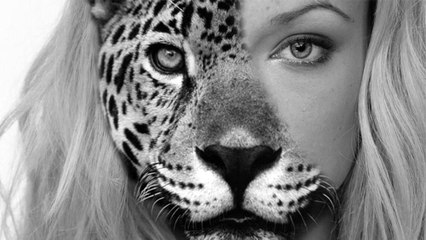 En quel animal allez-vous vous réincarner selon votre signe astrologique ?