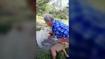Un homme tente de caresser un lion : ce qui s'ensuit est dramatique (VIDÉO)