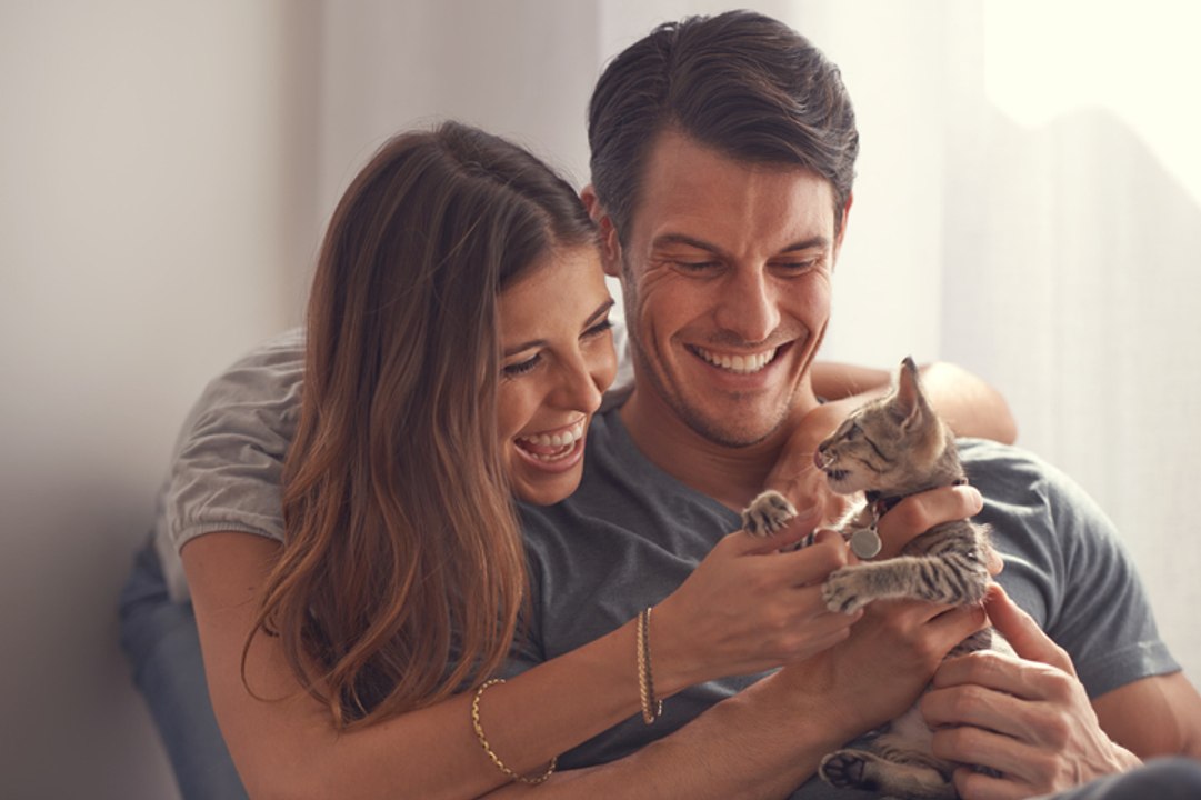 Voici pourquoi avoir un chat peut impacter votre vie sexuelle