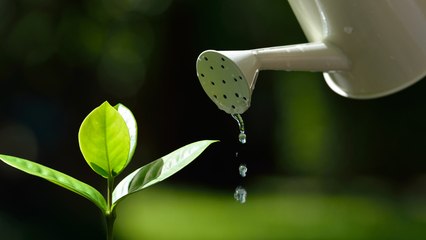 Comment créer un arrosoir automatique ?