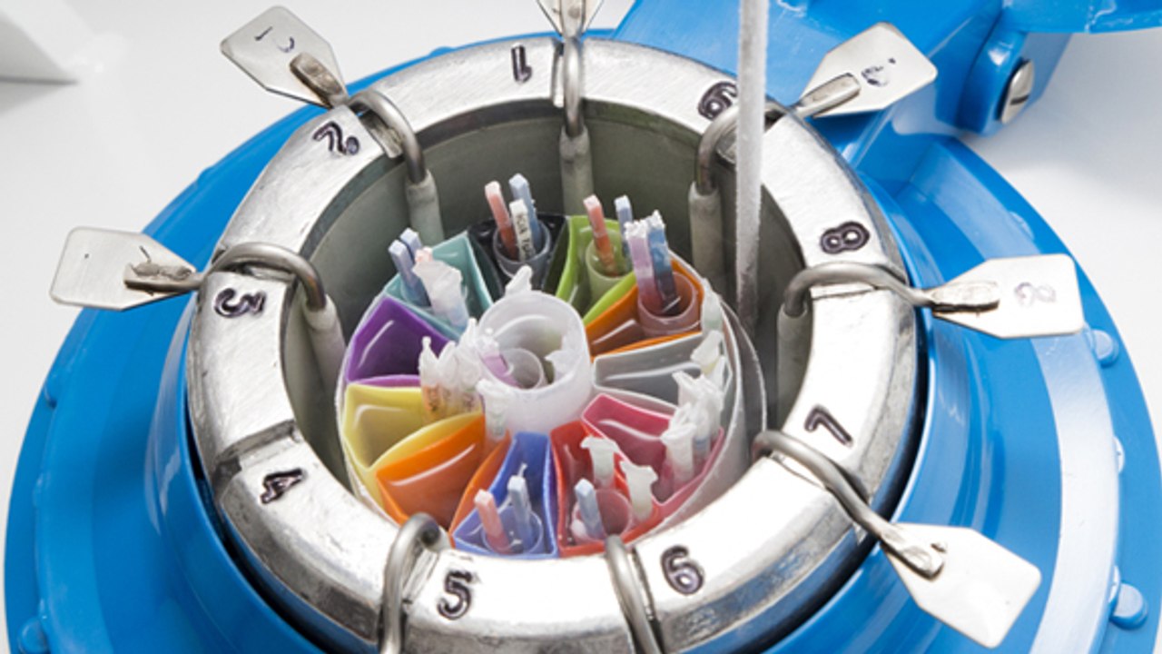 L'adoption d'embryons, une solution possible pour ceux qui ne peuvent pas avoir d'enfants