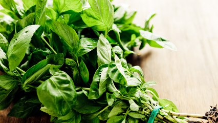 Basilic : si vous suivez ces astuces, votre plante vivra plus longtemps !
