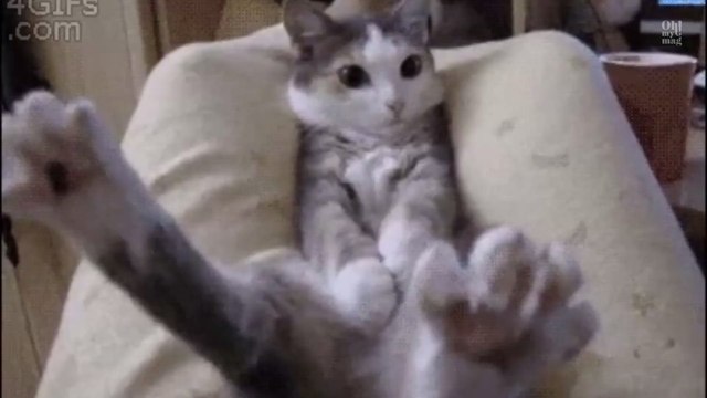 Comment sortir de votre zone de confort selon votre signe astrologique ?