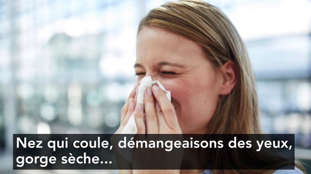 Allergie aux chats : un nouveau remède très prometteur