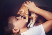 5 conseils pour rendre votre chat (encore) plus câlin