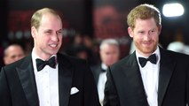 Harry et William en froid ? On connaît enfin les raisons de leur rivalité ! (Vidéo)