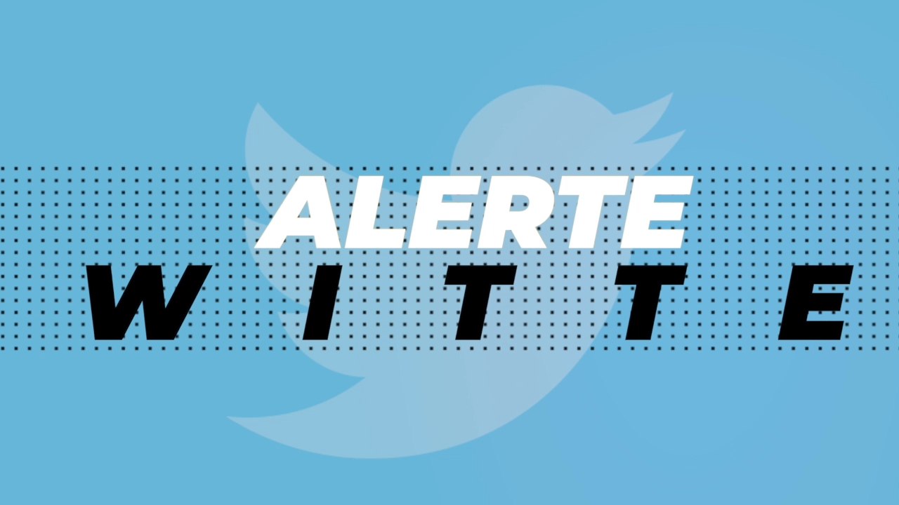 Une panthère noire en balade dans une petite ville près de Lille ! (VIDÉO)