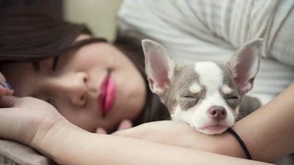 Sommeil : Les femmes dorment mieux avec leur chien plutôt qu'avec leur partenaire