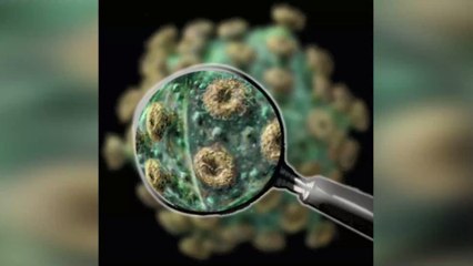Coronavirus : quels sont les symptômes ?