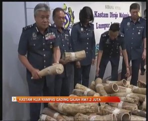 Kastam KLIA rampas gading gajah RM7.2 juta