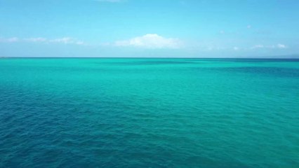 Des nouvelles découvertes confirment une extinction radicale de la vie sur Terre il y a 2 milliards d'années