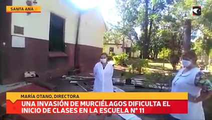 Una invasión de murciélagos dificulta el inicio de clases en la Escuela N° 11