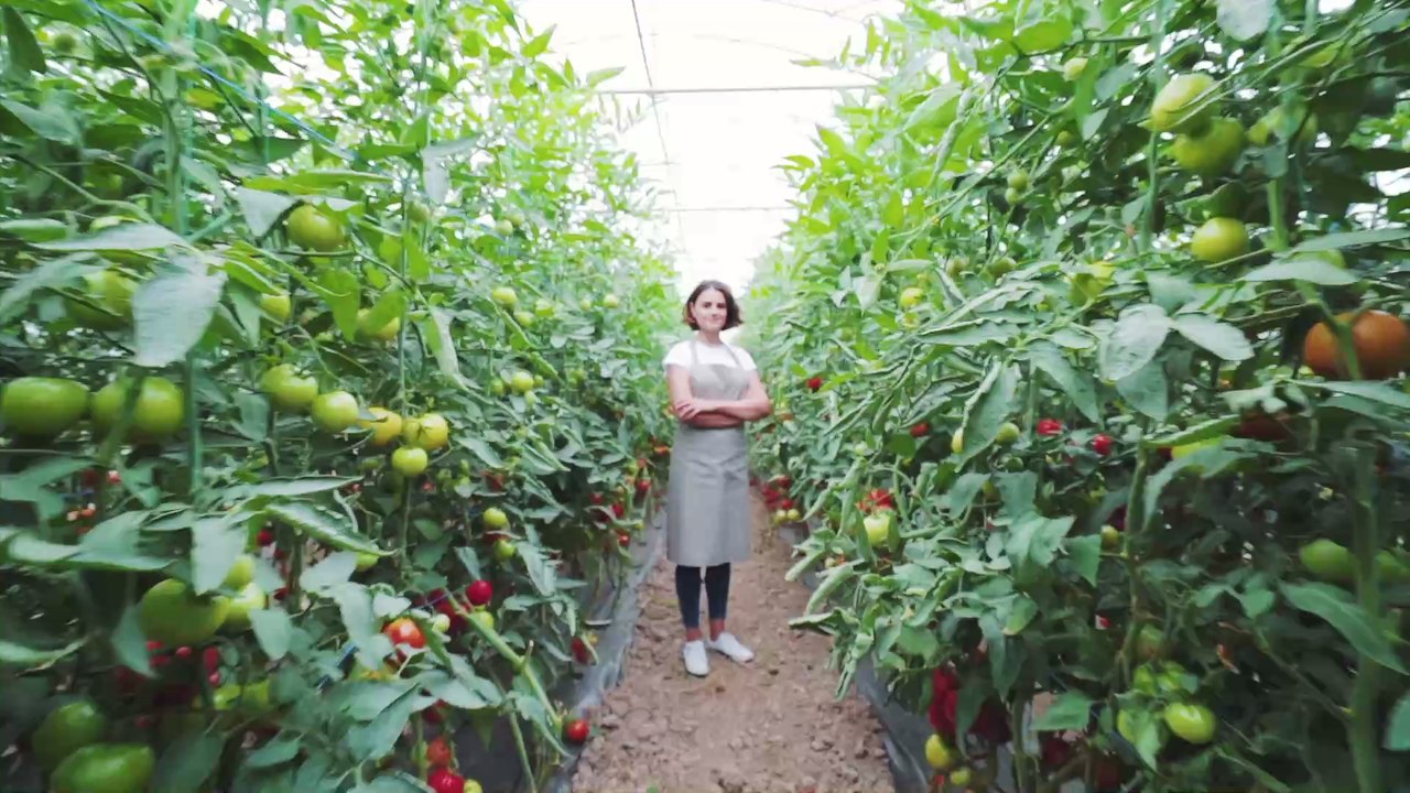 5 légumes qu'il faut consommer bio