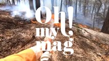 Australie : ce pompier sauve un bébé kangourou des feux de forêt (VIDEO)