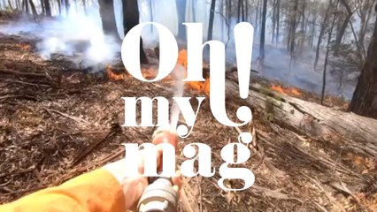 Australie : ce pompier sauve un bébé kangourou des feux de forêt (VIDEO)
