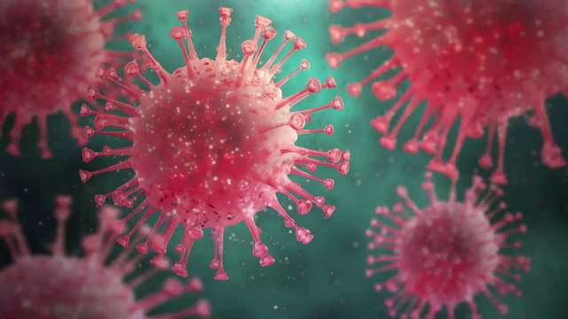 L'épidémie meurtrière qui a déjà fait 6 morts se propagera-t-elle jusqu'en France ?