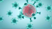 Les effets du Coronavirus, montrés pour la première fois dans cette vidéo