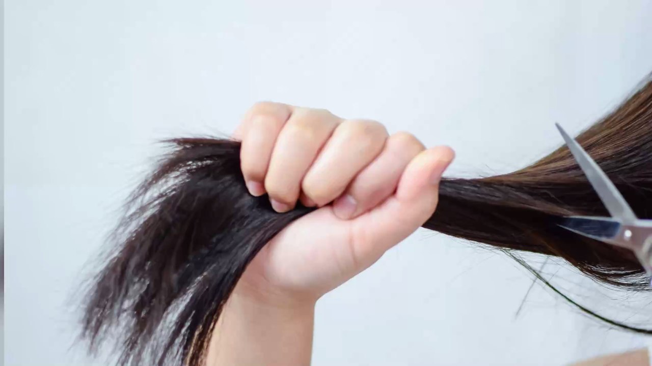 Ces coupes de cheveux ratées durant le confinement vont vous faire mourir de rire !