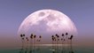 Pleine Lune : découvrez la pleine "lune des fraises"
