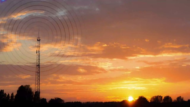 Pollution d'intérieur : ces plantes qui éloignent les mauvaises ondes numériques