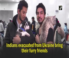 Indians evacuated from Ukraine bring their furry friends