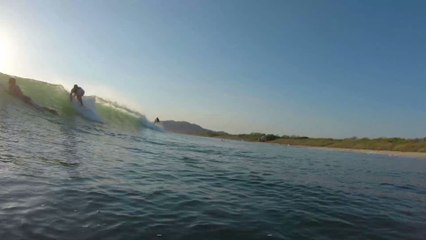 "C'était la seule chose à faire" : un surfeur échappe à l'attaque d'un requin d'une façon étonnante