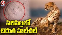 Y2Mate.is - సిరిసిల్లలో చిరుత హల్_చల్.. Leopard Attack On Cow  Sircilla  V6 News-xNty-ZBYyqo-720p-1646363131898