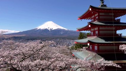 Covid-19 : le japon prêt à payer les trajets de ses touristes ? Explications