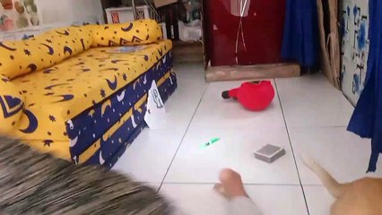 Kiki Lagi Ngobrol Dan Bermain Bersama Marco