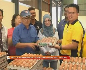 Sektor penternakan telur ayam lonjak imej Terong